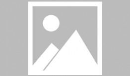 榆树头条最新爆料,揭秘重大事件背后真相！